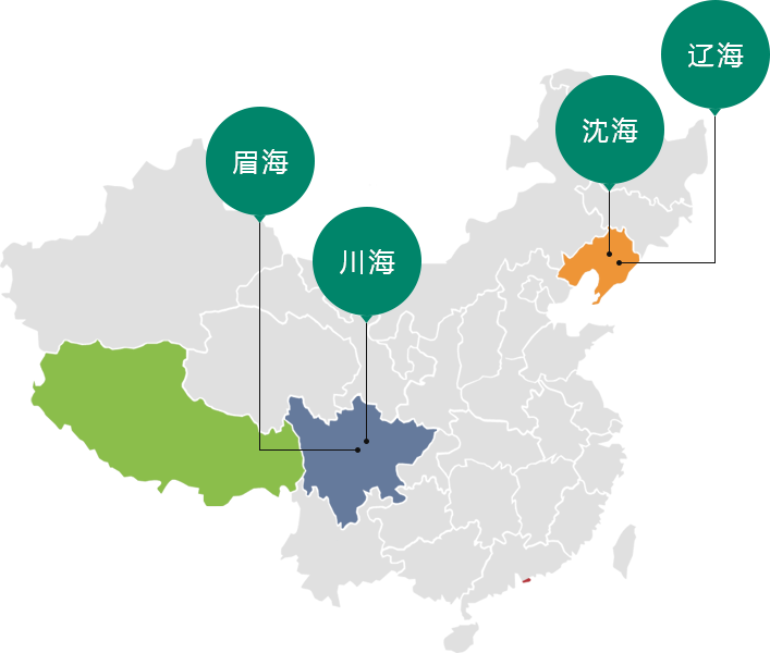 四川918博天娱乐官网制药有限公司